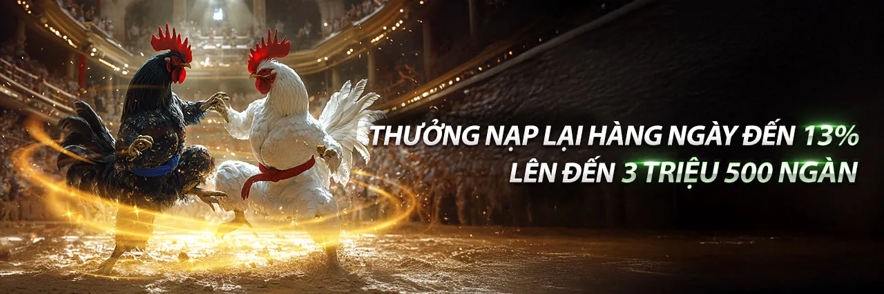 Hình ảnh giới thiệu DG789 - Nền tảng cá cược trực tuyến hàng đầu