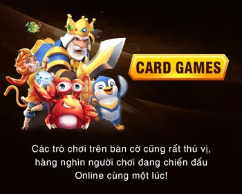 Chuyên gia phát triển DG789